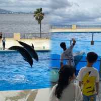 🐬🍨日本福岡 不能錯過的水族館餐廳😍