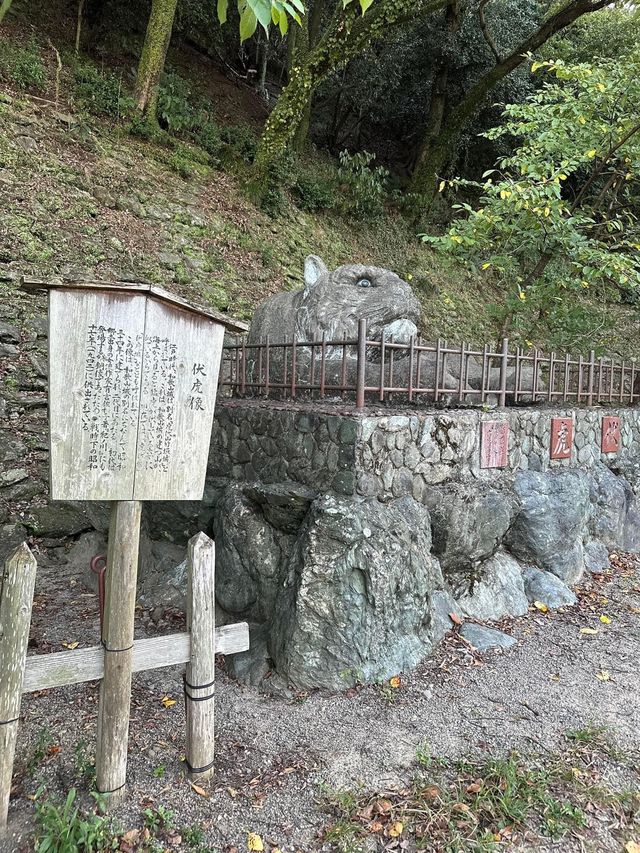 日本🇯🇵百大名城‼️和歌山城😌絕美黃昏🌆日落景