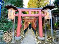 【東京都/花園稲荷神社】上野の紅葉と稲荷神社