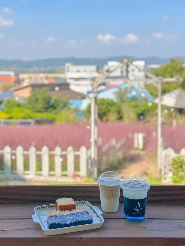 꽃잔치 가득 열린 청주 카페 아르떼 물들이다🌸
