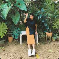 เจอ Stay with Tree Cafe🌿