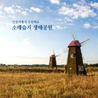 인천여행 여기는 빼놓지 말고 가보세요