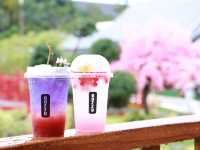 Guzzu cafe & Bistro คาเฟ่สไตล์ญี่ปุ่น