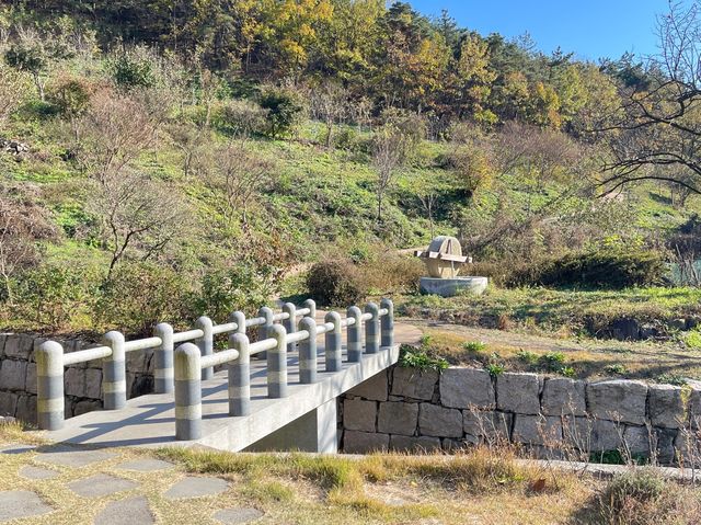 韓國大邱 村口四百年靈槐樹的文化遺產 漆谷村