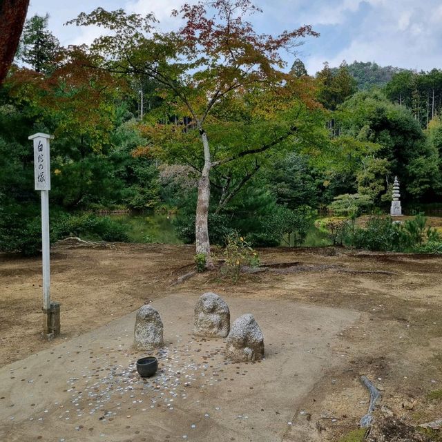 The Golden Kinkaku Ji in Kyoto