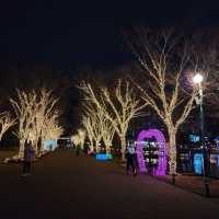 울산대공원 겨울 빛축제🎄❣️