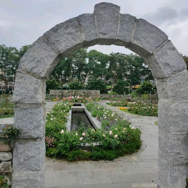 滿園花朵盛開-台北玫瑰園