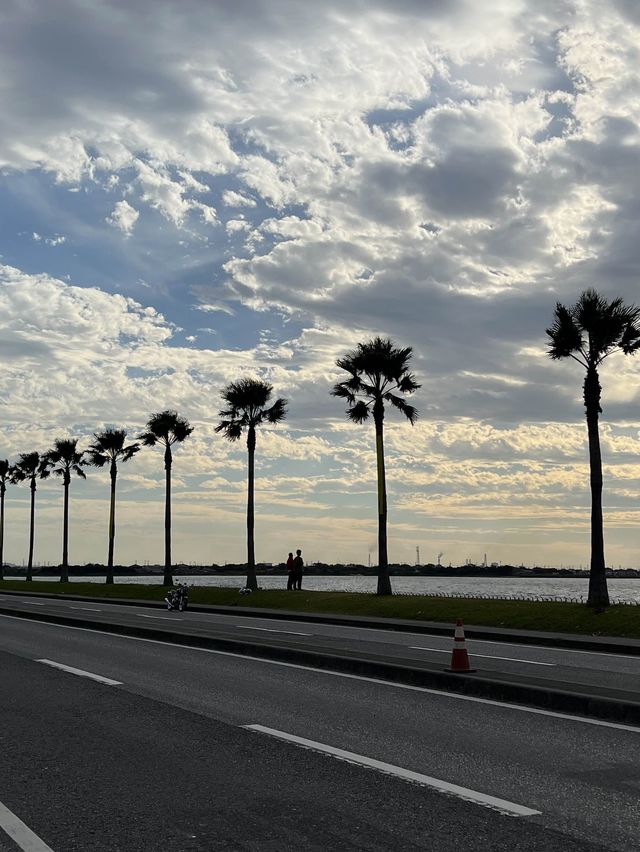 南国風情の袖ヶ浦🏝