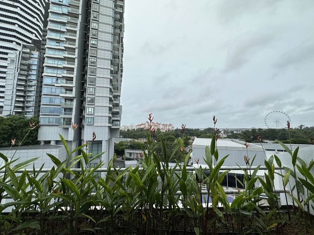 Premier Club Room 758