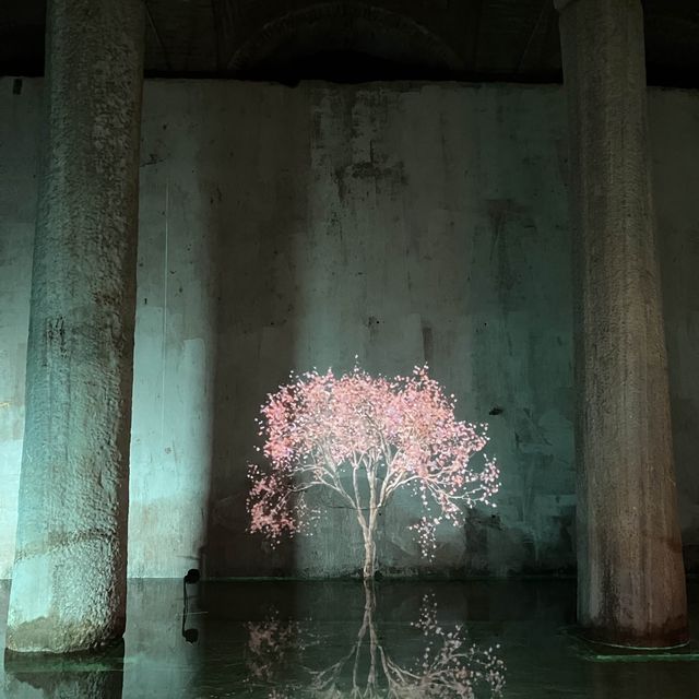 土耳其伊斯坦堡必去景點：地下水宮殿💕