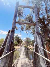 Suspension Bridge || Swing Birdge, York, WA📸