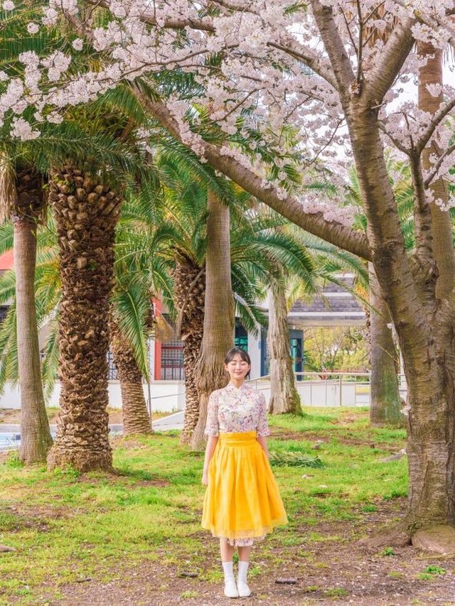 🌸벚꽃 피크닉 가능한 곳🌸