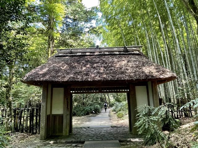 【静岡】竹林と庭園が気持ちいい！とらや工房