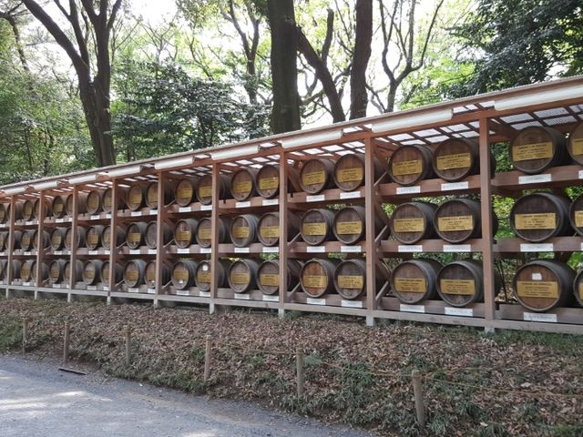 Meiji Shrine, calamity in the heart of Tokyo