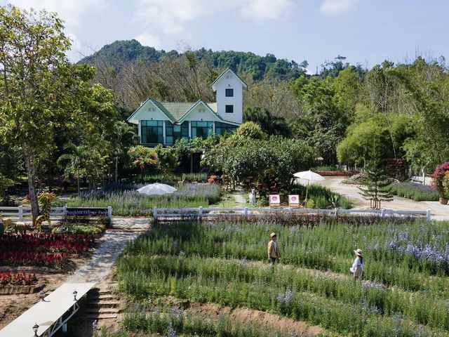 Songkhla Flower Farm ... หาดใหญ่ จ.สงขลา
