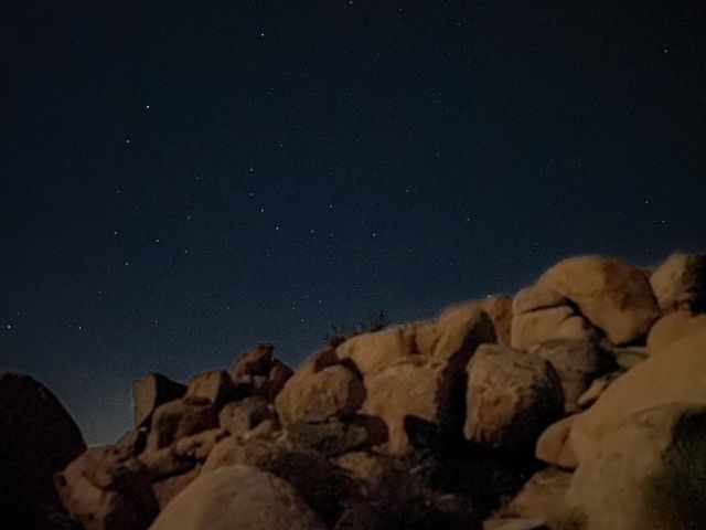 별이 쏟아지는 조슈아의 밤하늘💫