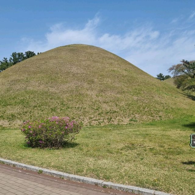 포토존이 예쁜  경주 대릉원