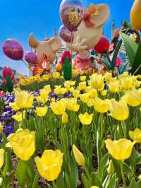 네덜란드 튤립 축제 부럽지 않은 에버랜드🌷