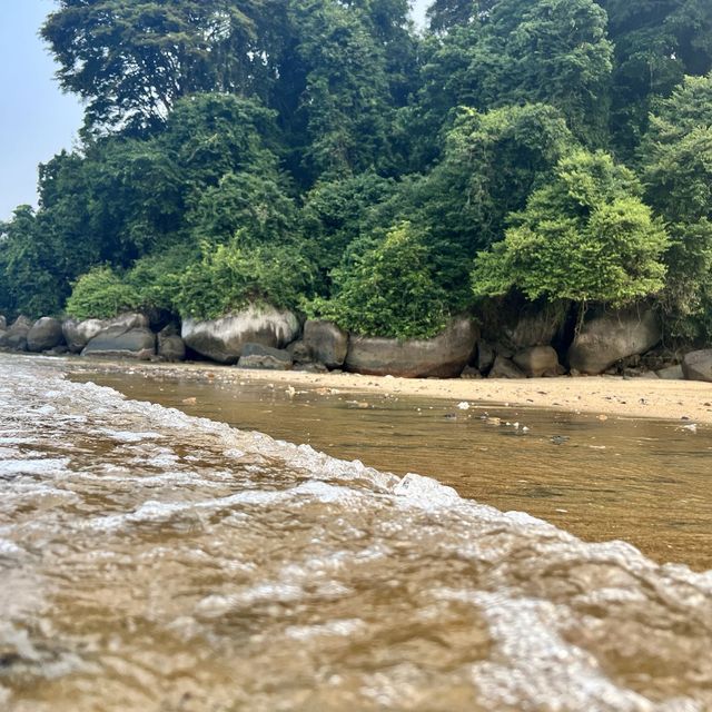 PULAU TIOMAN MEMORIES 🌊