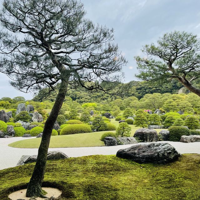 【島根県/足立美術館】
