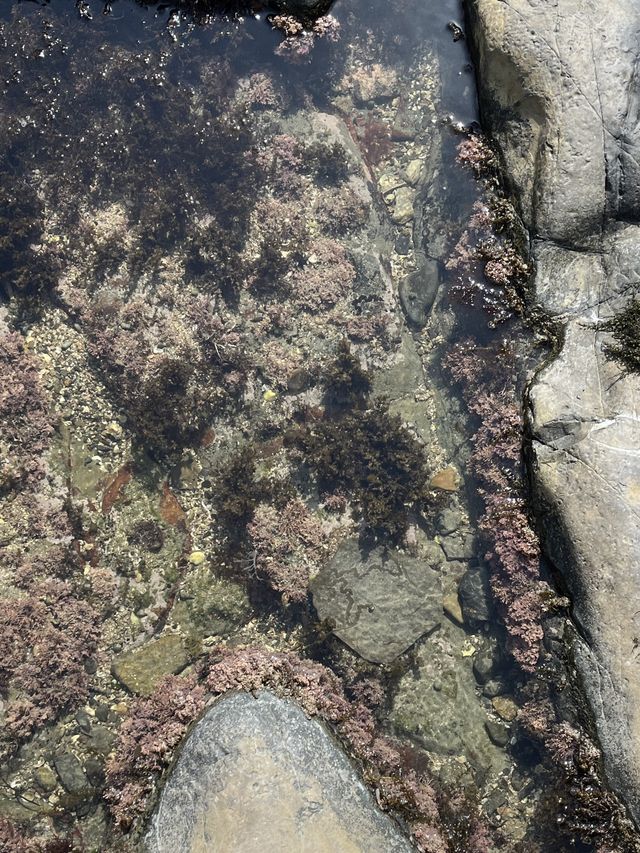 그림같은 사진을 얻을 수 있는 변산 채석강🌊