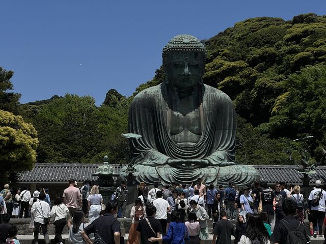 日本電鐵江之電｜長谷站高德院鎌倉大佛，鎌倉唯一的國寶佛像