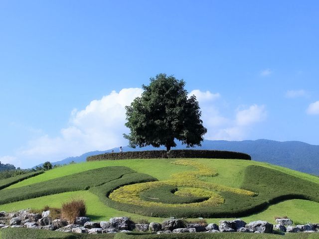 🌼 ธรรมชาติบำบัดใจ "อุทยานหลวงราชพฤกษ์" เชียงใหม่