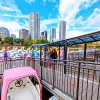 Fun Swan Paddleboats at Shinobazu Pond