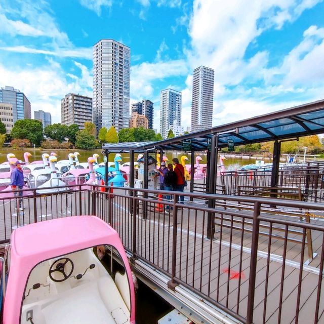 Fun Swan Paddleboats at Shinobazu Pond