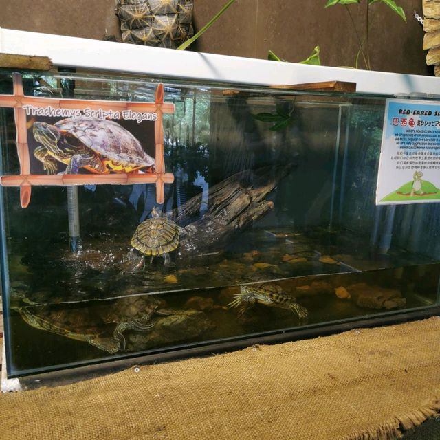 Fun Day in Borneo Happy Farm