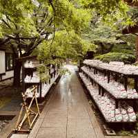 招財貓の寺——豪德寺🐈‍⬛😸