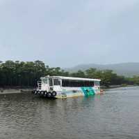 【沖縄県/西表島】仲間川マングローブクルーズ