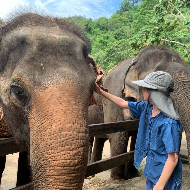 Elephant keeper for the day