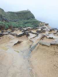 野柳地質公園與女王頭打卡