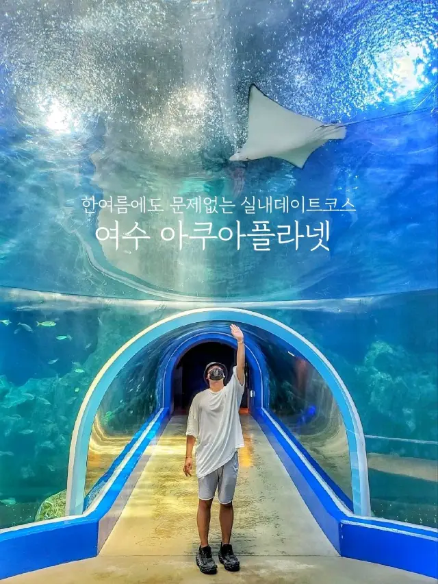 여름에도 시원하게 즐기는 아쿠아리움 데이트🐬