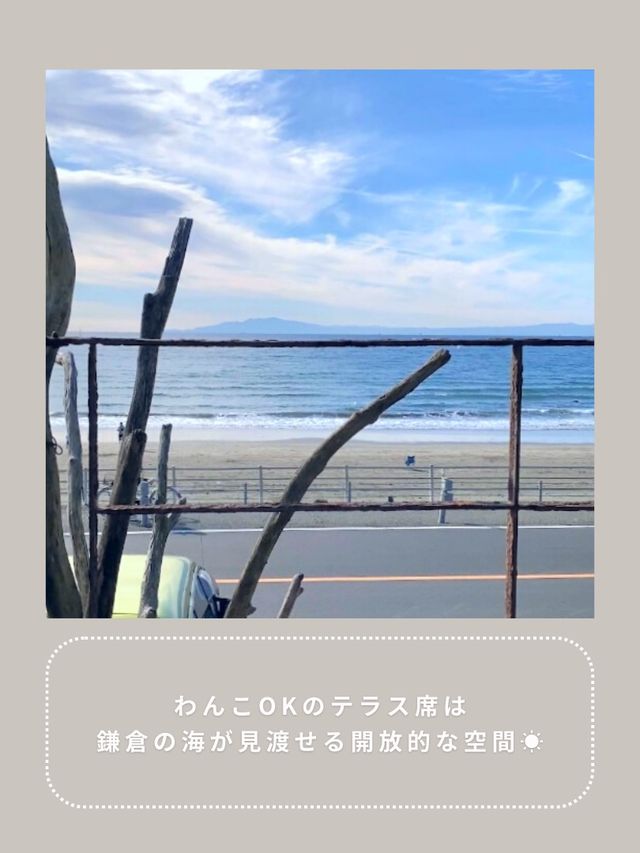【鎌倉】わんこと行ける絶品定食🌴