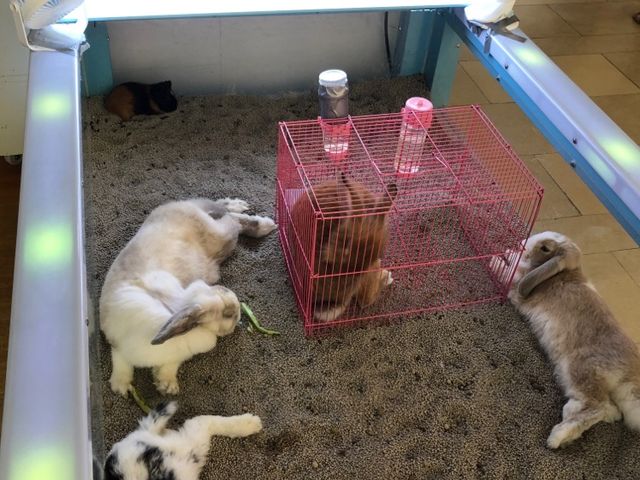 👨‍👩‍👦江門市親子吃喝玩樂好地方 - 匯悅大融城