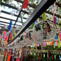 ~福岡 如意輪寺 かえる寺~夏の風物詩🎐