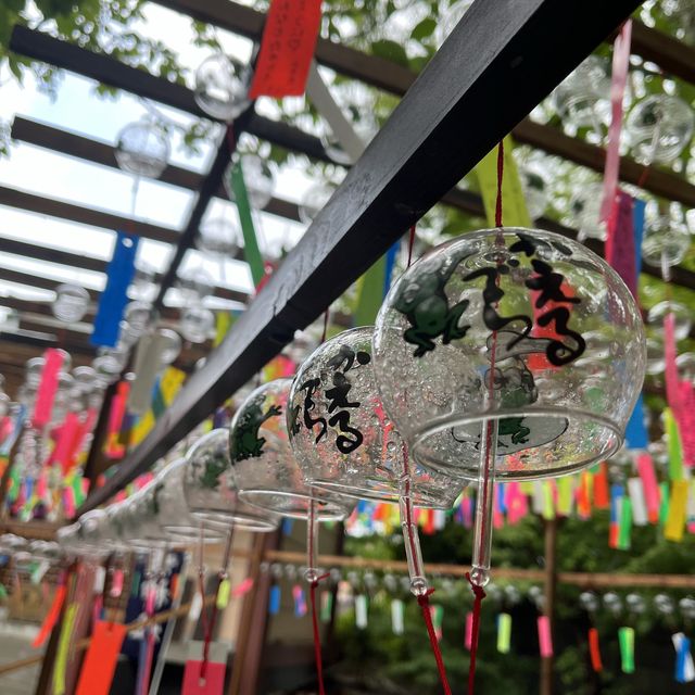 ~福岡 如意輪寺 かえる寺~夏の風物詩🎐