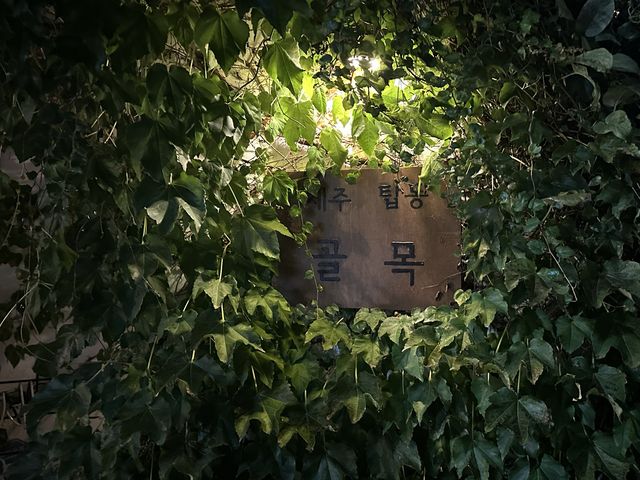 혼술 전문 음악 감상 전문 ⊹⁺⸜ 탑동골목 ⸝⁺⊹