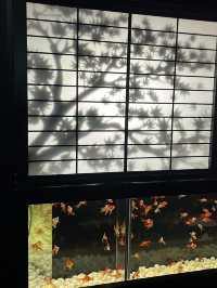 アートアクアリウム美術館