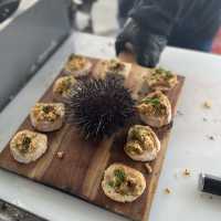 荷伯特 Tasmanian Wild Seafood Adventure海鮮遊艇之旅
