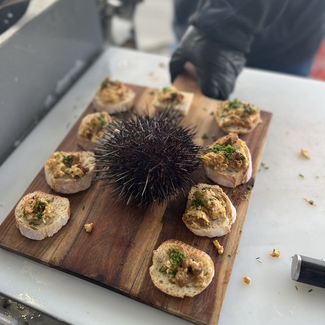 荷伯特 Tasmanian Wild Seafood Adventure海鮮遊艇之旅