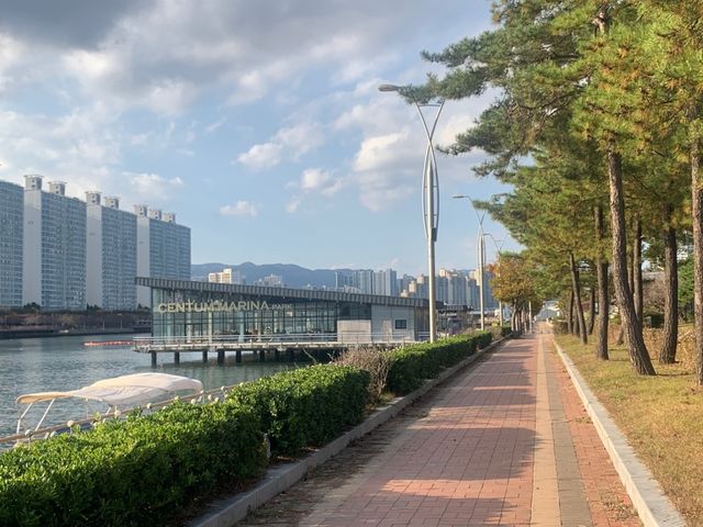 부산 수영 강변을 따라 걷기 좋은, APEC 나루공원