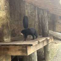 Visit the animals at Avilon Zoo