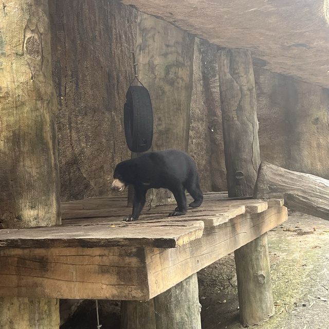 Visit the animals at Avilon Zoo