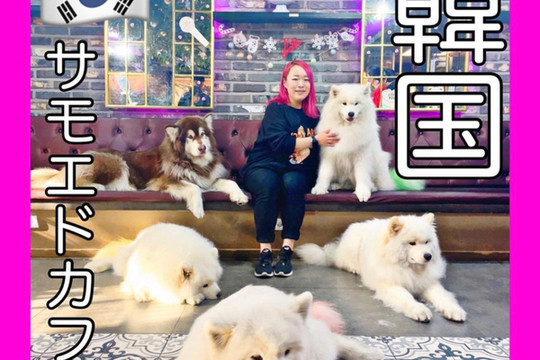 1mi3y2234d5op0128D21E_R_600_40