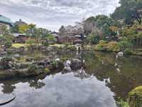 Mishima - a small town in Japan