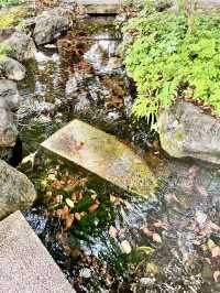 【秩父パワースポット】秩父神社