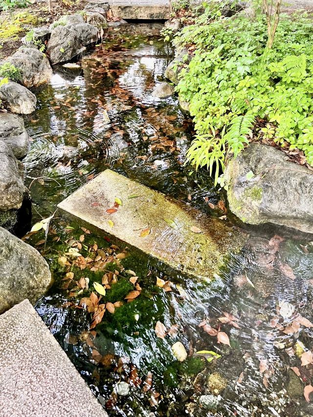 【秩父パワースポット】秩父神社